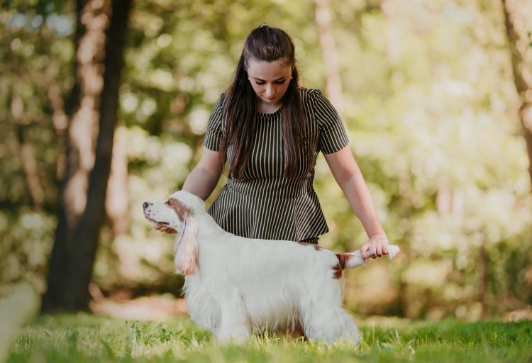 Lucy / VALENTINE'S SPRINKLES Fallin' Roan